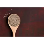 Organic white chia seeds from France - direct producer