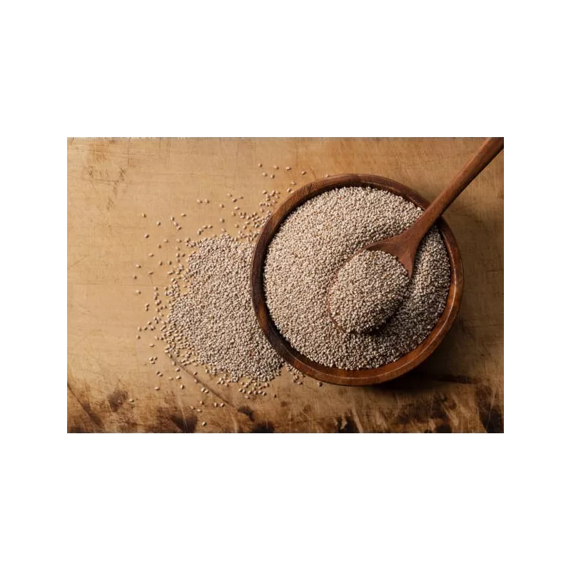 Graines de Chia blanches bio de France - direct producteur