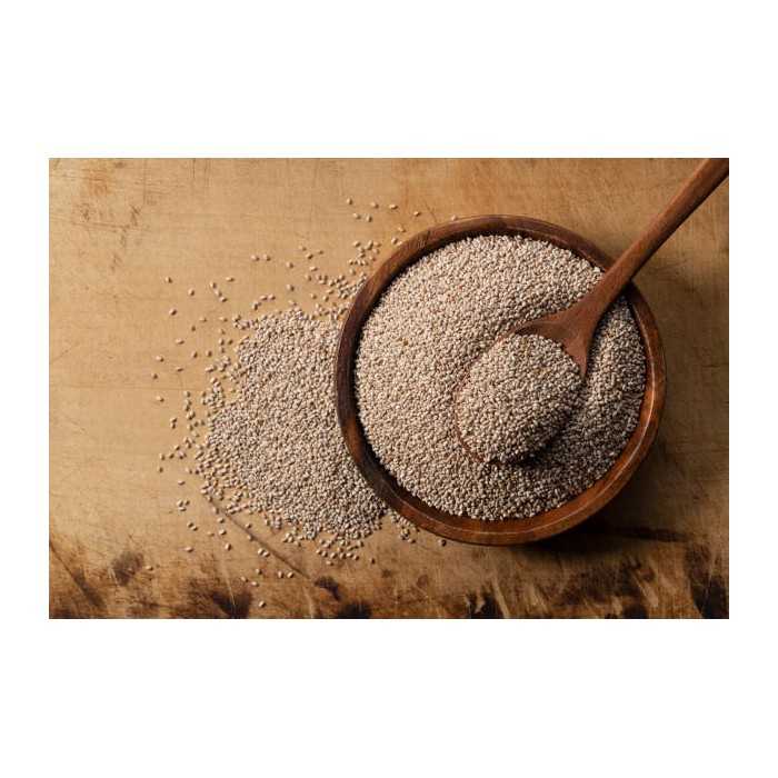 Organic white chia seeds from France - direct producer
