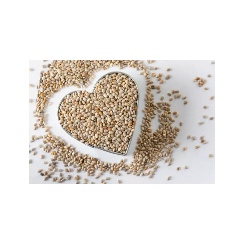 Graines de Chia blanches bio de France - direct producteur