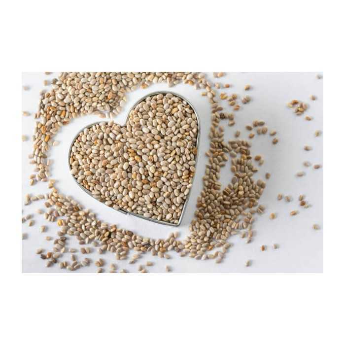 Organic white chia seeds from France - direct producer