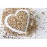 Organic white chia seeds from France - direct producer