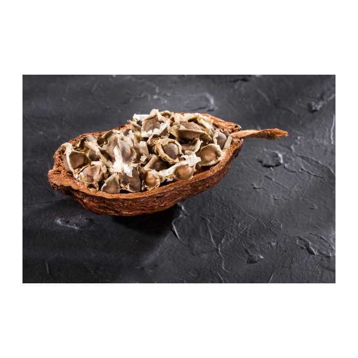 Graines de Moringa naturelles & équitables d'Haïti - Direct producteur