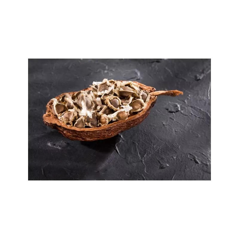 Graines de Moringa naturelles & équitables d'Haïti - Direct producteur