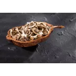 Graines de Moringa naturelles & équitables d'Haïti - Direct producteur
