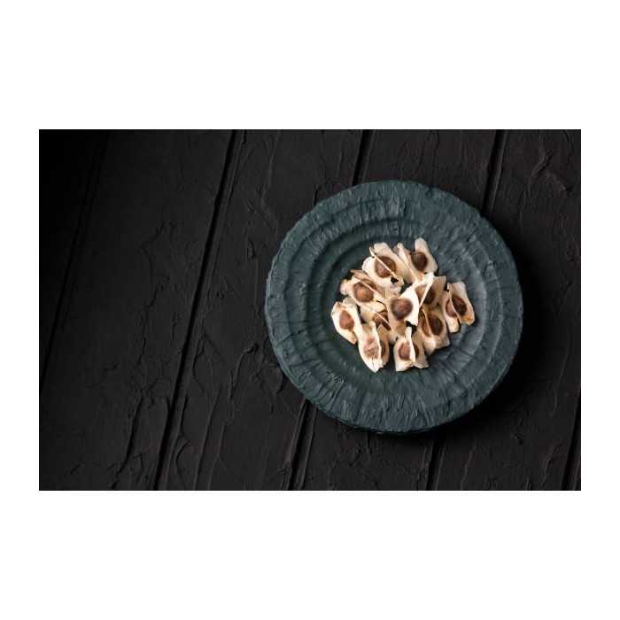 Natural & fair trade Moringa seeds from Haïti - Direct producer