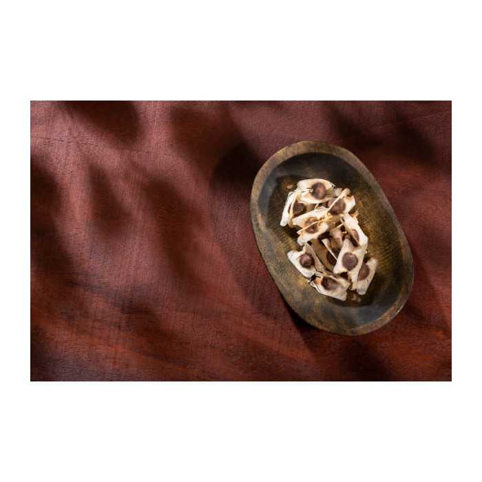Natural & fair trade Moringa seeds from Haïti - Direct producer