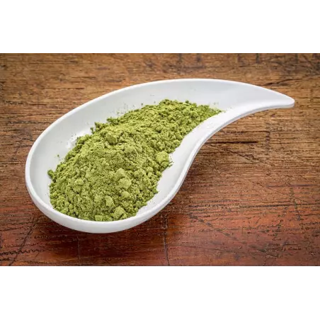 Poudre de feuilles de Moringa naturelles & équitables d'Haïti - Dir...