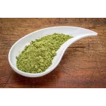 Natural & fair trade Moringa leaf powder from Haiti - Direct Producer