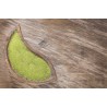 Natural & fair trade Moringa leaf powder from Haiti - Direct Producer
