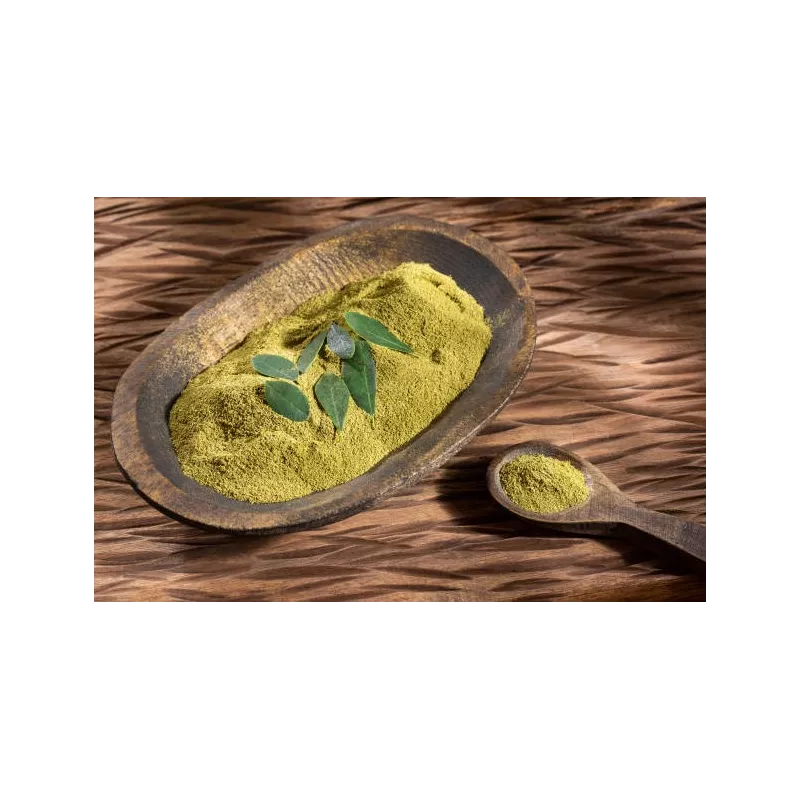 Natural & fair trade Moringa leaf powder from Haiti - Direct Producer
