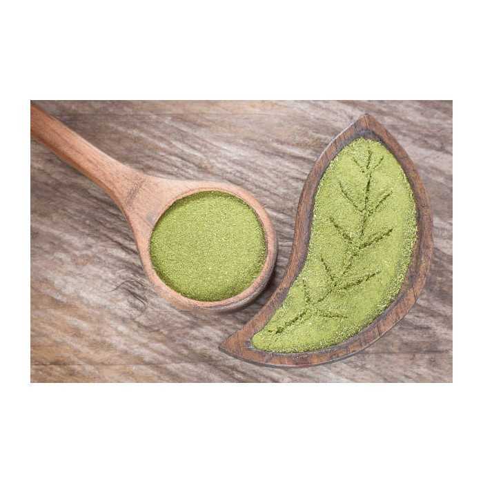 Natural & fair trade Moringa leaf powder from Haiti - Direct Producer