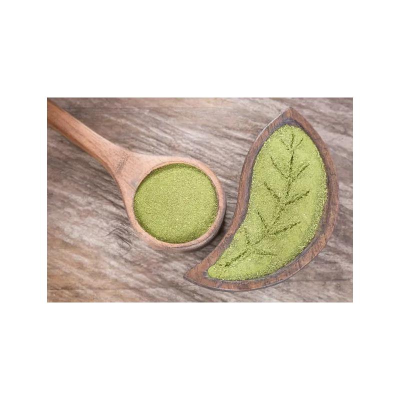 Natural & fair trade Moringa leaf powder from Haiti - Direct Producer