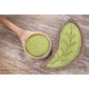 Natural & fair trade Moringa leaf powder from Haiti - Direct Producer