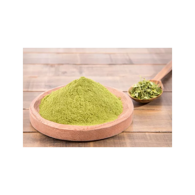 Natural & fair trade Moringa leaf powder from Haiti - Direct Producer