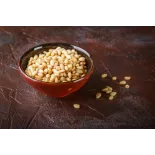Premium Siberian Organic Cedar Pine Nut