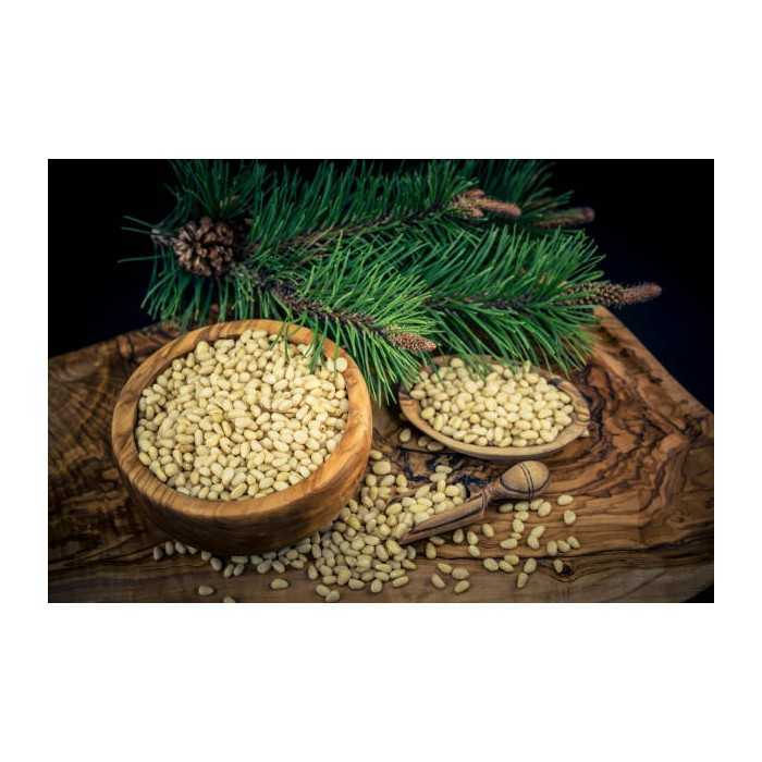 Premium Siberian Organic Cedar Pine Nut