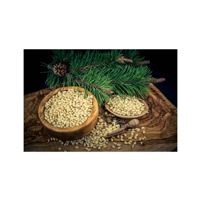 Premium Siberian Organic Cedar Pine Nut
