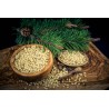 Pignon de Cèdre bio de Sibérie Premium