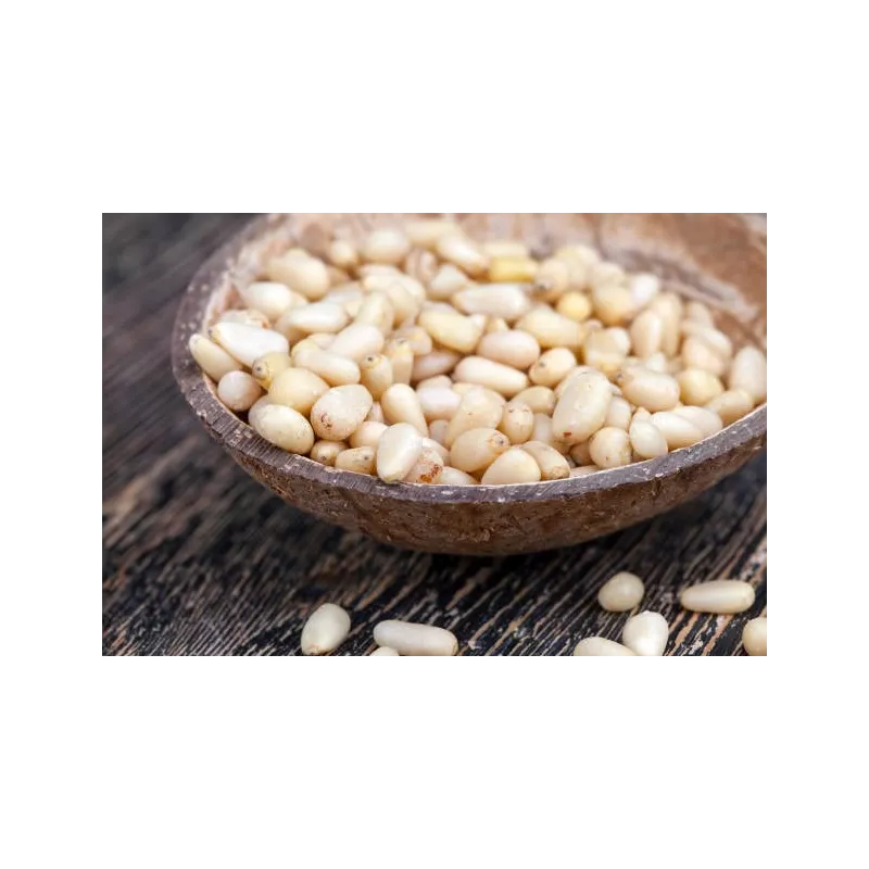 Premium Siberian Organic Cedar Pine Nut