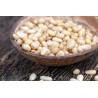 Pignon de Cèdre bio de Sibérie Premium