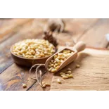 Premium Siberian Organic Cedar Pine Nut