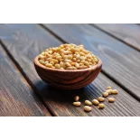 Premium Siberian Organic Cedar Pine Nut