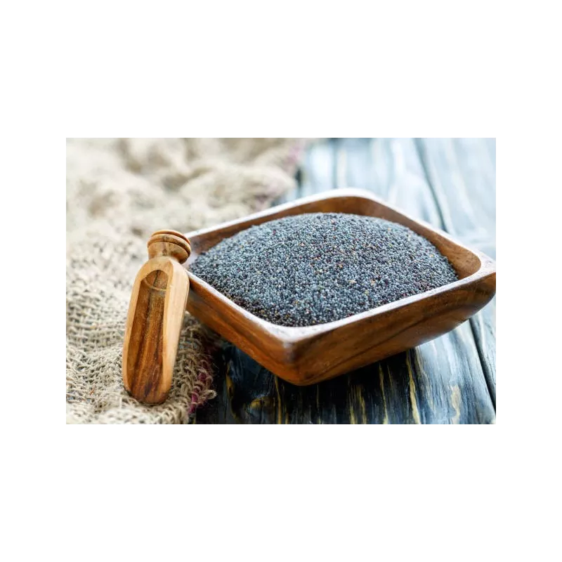 Graines d'Amarante Noires Bio de France - Direct producteur Graines d'Amarante Noires Bio de France - Direct producteur