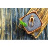 Organic Black Amaranth Seeds from France - Direct producer