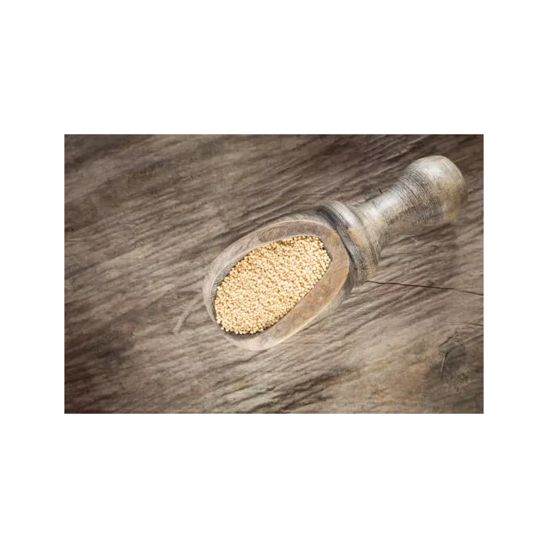 Organic white amaranth seeds from France - Direct producer