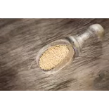 Organic white amaranth seeds from France - Direct producer