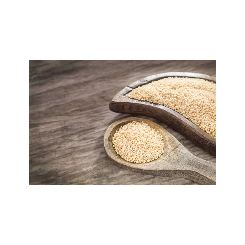Organic white amaranth seeds from France - Direct producer