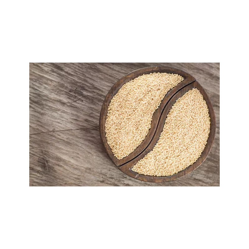 Organic white amaranth seeds from France - Direct producer
