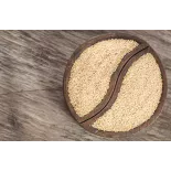 Organic white amaranth seeds from France - Direct producer