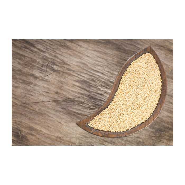 Organic white amaranth seeds from France - Direct producer