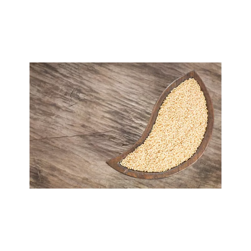 Organic white amaranth seeds from France - Direct producer