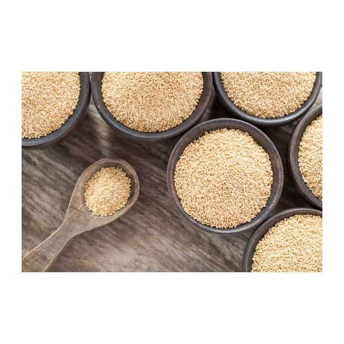 Organic white amaranth seeds from France - Direct producer