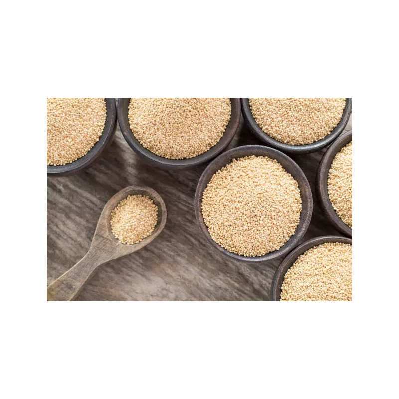Organic white amaranth seeds from France - Direct producer
