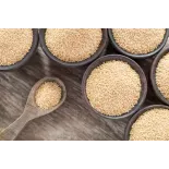 Organic white amaranth seeds from France - Direct producer