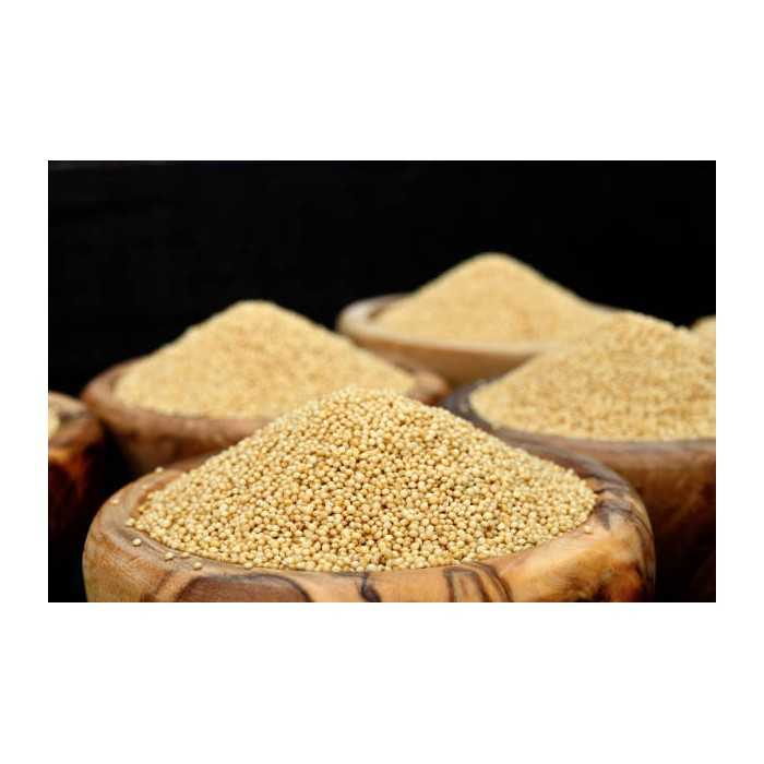 Organic white amaranth seeds from France - Direct producer