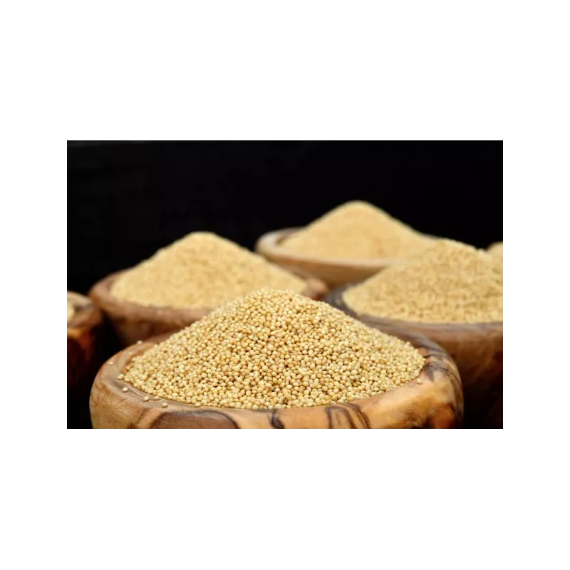 Organic white amaranth seeds from France - Direct producer