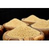 Organic white amaranth seeds from France - Direct producer