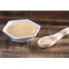 Organic white amaranth seeds from France - Direct producer