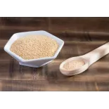 Organic white amaranth seeds from France - Direct producer