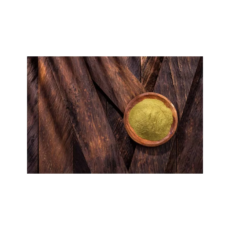 Organic & Gluten Free Deoiled Pumpkin Seed Flour from Austria