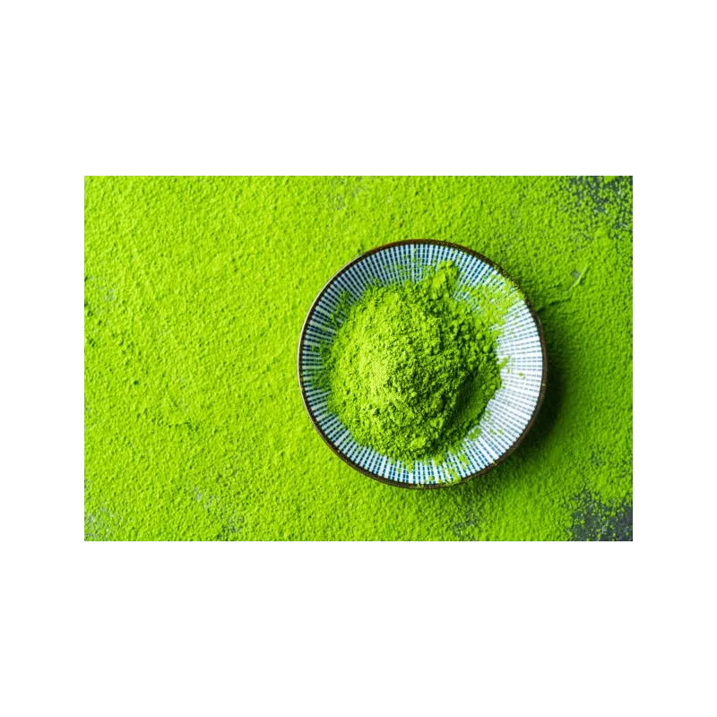 Organic & Gluten Free Deoiled Pumpkin Seed Flour from Austria
