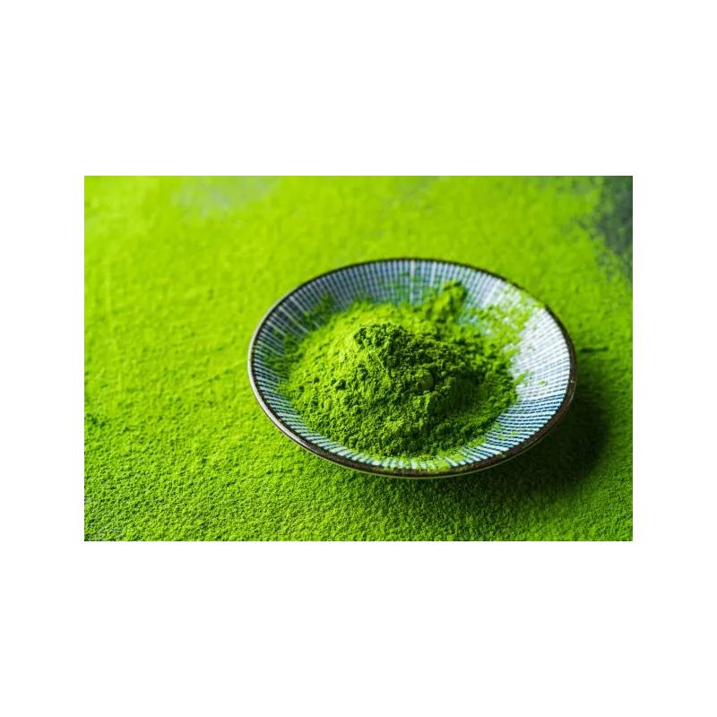 Organic & Gluten Free Deoiled Pumpkin Seed Flour from Austria
