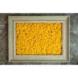 Farfalles ou Pâtes Papillons aux œufs frais bio natures & Artisanal...