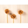 Organic & artisanal tagliatelle with porcini mushrooms & chestnut A...