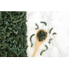 Organic & artisanal tagliatelle with spirulina from France - Direct...